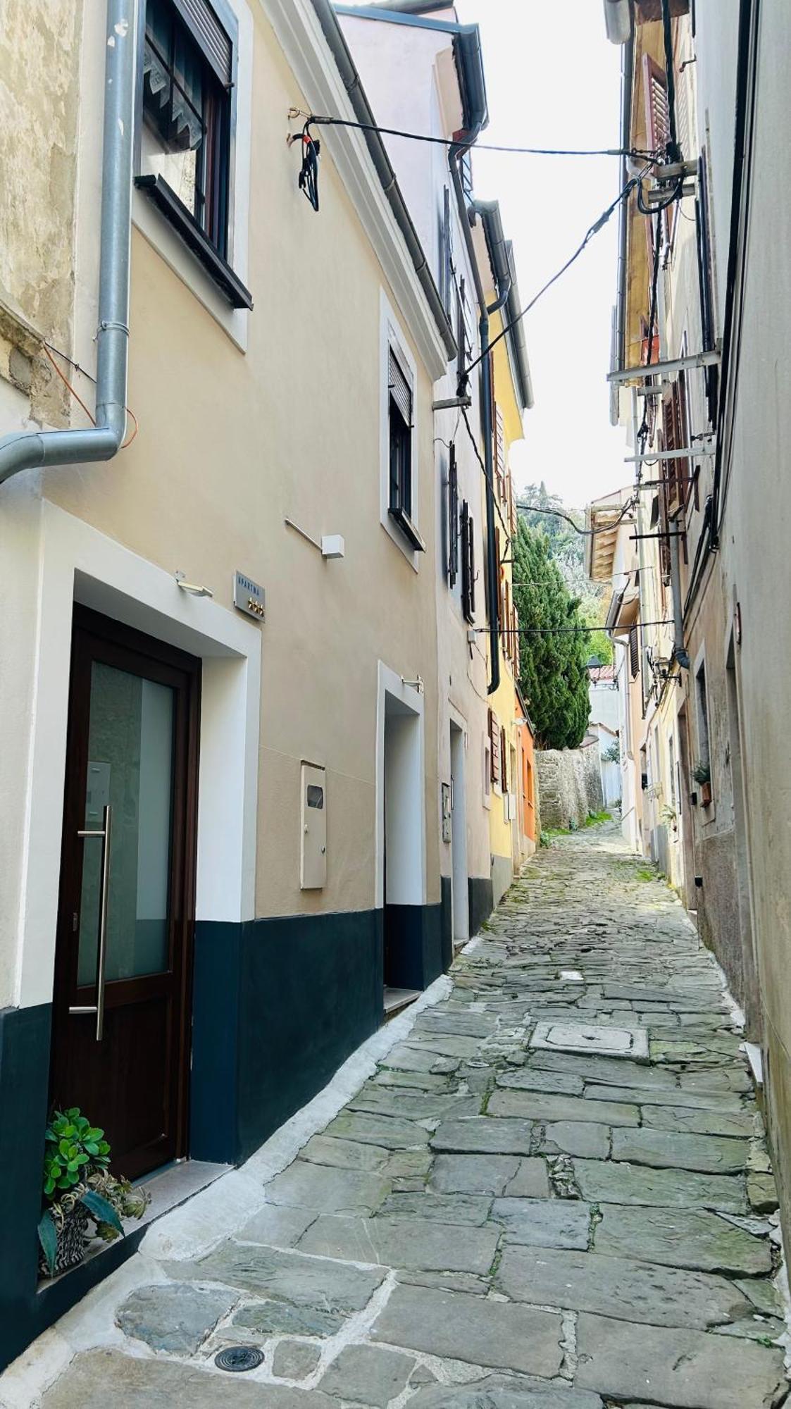 Apartma Tayana Piran - Parking Included !!! 外观 照片